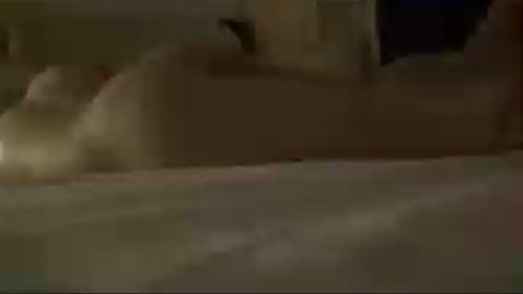 สาวจีนขอขึ้นครู 1