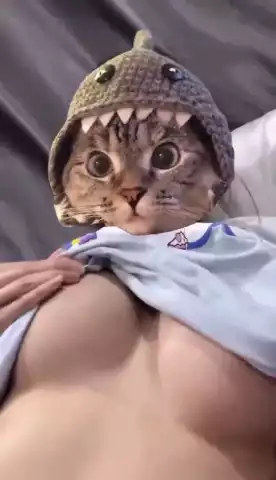 มาดูแมวที่ห้องหนูมั้ยยยย